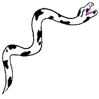 ffembroidery snake reptile slither ffembroidery Sticker