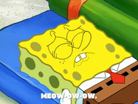 season 7 episode 20 GIF by SpongeBob SquarePants
