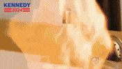 Share Know GIF by Team Kennedy