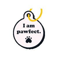 AvasPetPalace i love cats i love dogs pawfect avas pet palace Sticker