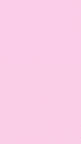 Brand New Fashion GIF by ArmyPink