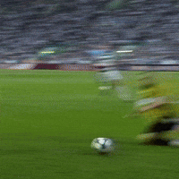 Arad GIF by FC Kairat