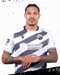3Liga Wirechtanders GIF by SV Sandhausen