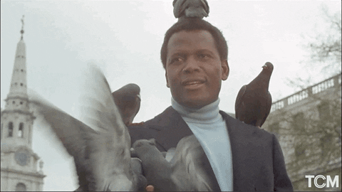 Happy Sidney Poitier GIF by Turner Classic Movies