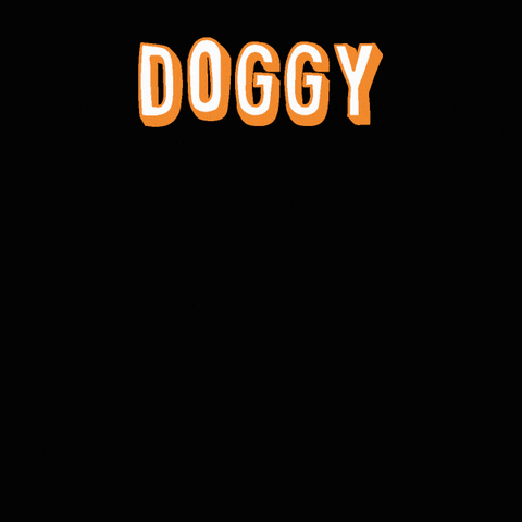 lucysdoggydaycaresatx giphyupload dog doggo doggy GIF