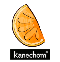 Orange Sticker by Kanechom