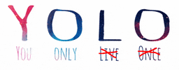 one direction yolo GIF