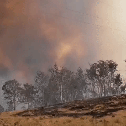 Smoke From Tasmania Fire Blankets Sky