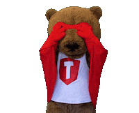 Super Hero Halloween Sticker by Touchdown's Team
