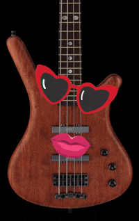 WarwickBasses music bass musician warwick GIF