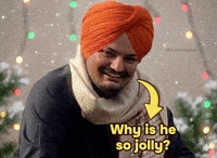 Of All Time Moose GIF