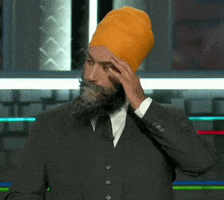 Jagmeet Singh Canada GIF by GIPHY News