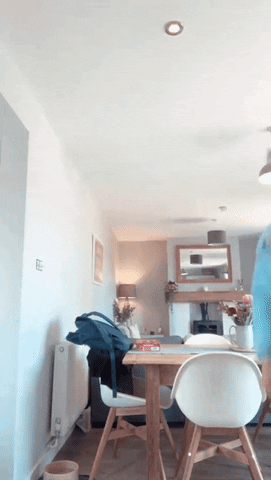 sonrhi giphyupload GIF