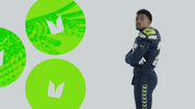 American Football GIF by Seattle Seahawks