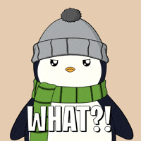Wait What Penguin GIF by Pudgy Penguins