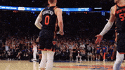 Dontedivincenzo GIF by New York Knicks