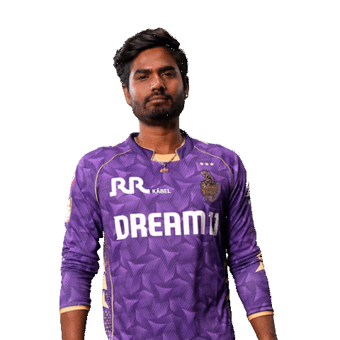 Kolkata Knight Riders Ipl Sticker by Knight Riders Sports