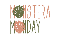 Monday Monstera Sticker