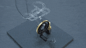 Danieldebruin GIF by Joanie Lemercier