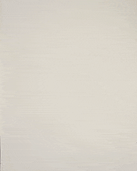 Ecuador Snacks GIF by cintascotch