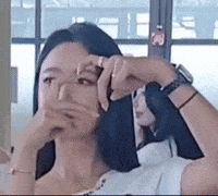 Model GIF