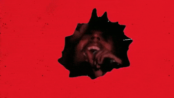 Jamming Bob Marley And The Wailers GIF by Bob Marley
