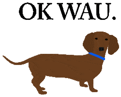 tnzrclothing dog wow ok vegan Sticker