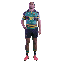 Sticker by PremRugby