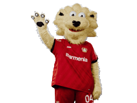 Bayer 04 Hello Sticker by Bayer 04 Leverkusen