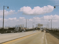 Born Losers GIF by Stray Fossa