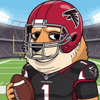 Atlanta Falcons Football GIF by Doge Pound