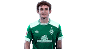 bundesliga wink Sticker by SV Werder Bremen