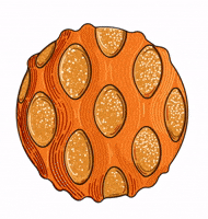 Paris Croissant GIF by Cedric Grolet