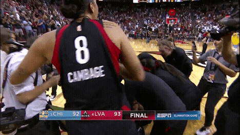 James Harden Sport GIF by WNBA