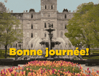 Quebec Qc GIF by Assemblée nationale du Québec