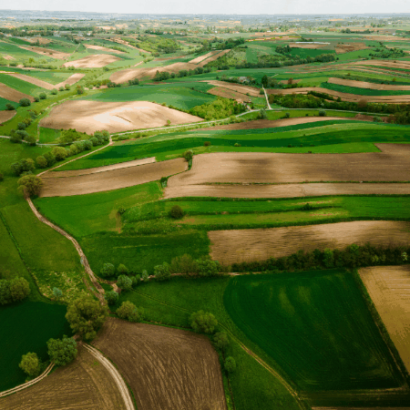 kirk-shaw giphygifmaker giphyattribution GIF