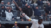 New York Yankees Sport GIF by MLB