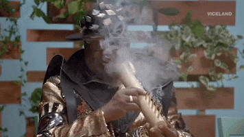 george clinton weed GIF by Bong Appétit