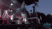 pitchfork music festival GIF by Pitchfork