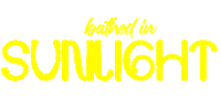Fun Text Sticker