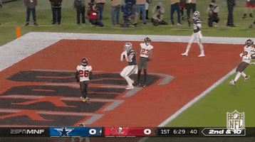 Dallas Cowboys Football GIF by NFL