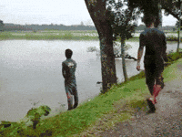 GIF by Demic