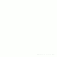 loop way GIF