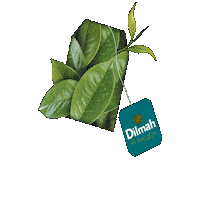 Pibamour chile te tecito dilmahchile Sticker