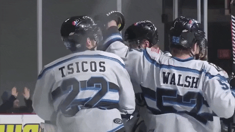 QCStorm giphyupload storm quad city storm qc storm GIF