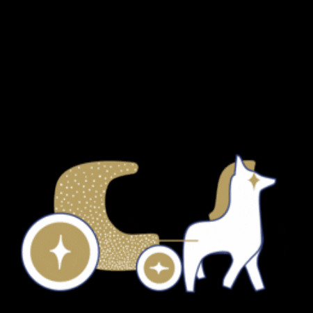 bo-noel giphygifmaker GIF