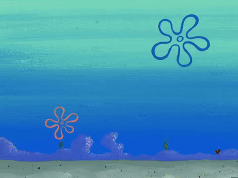 season 5 GIF by SpongeBob SquarePants