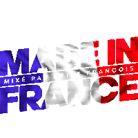 France Bricefrancois Sticker by BF Agency