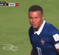 France Football GIF by Respective