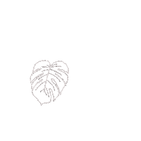Monstera Deliciosa Plant Sticker